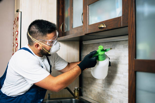 Best Mosquito Control Services  in Picture Rocks, AZ