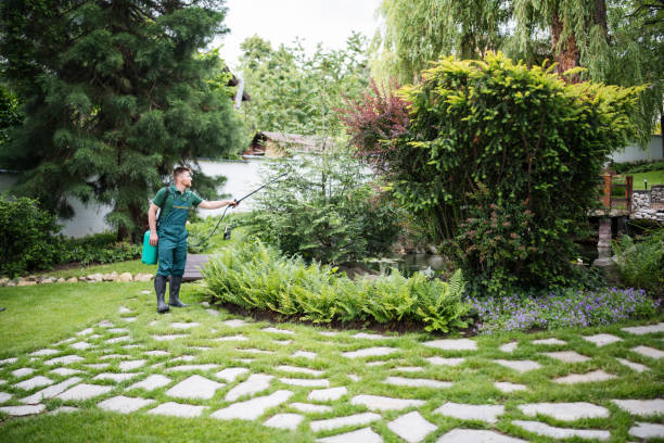 Best Ant Control Services  in Picture Rocks, AZ