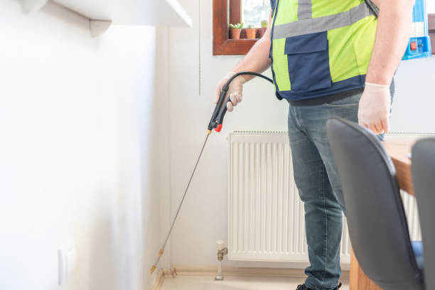 Best Local Pest Control Services  in Picture Rocks, AZ